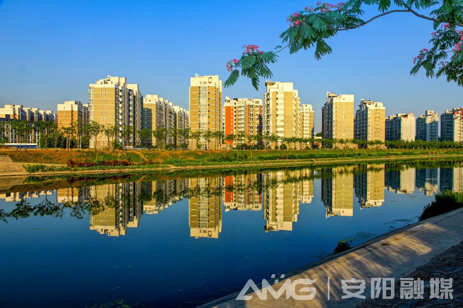 “绣”出美丽城区：星空体育app官网(图4)
