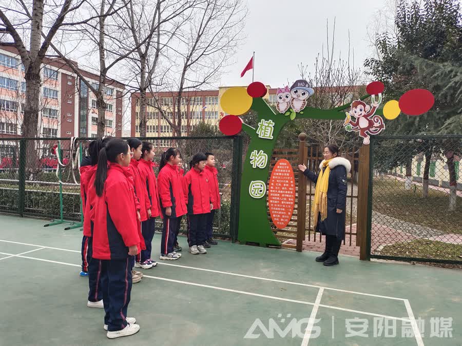 半岛官方下载入口：打造“护苗”金钟罩｜林州市第九小学“扫黄打非”工作掠影(图3)