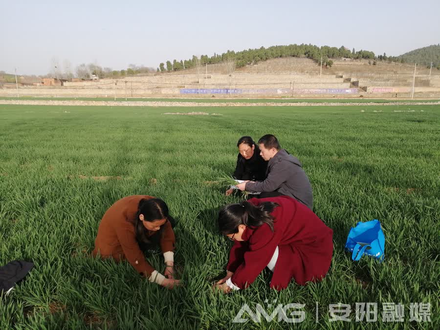 【ag九游会官网登录】农时不等人 春日胜黄金(图2)