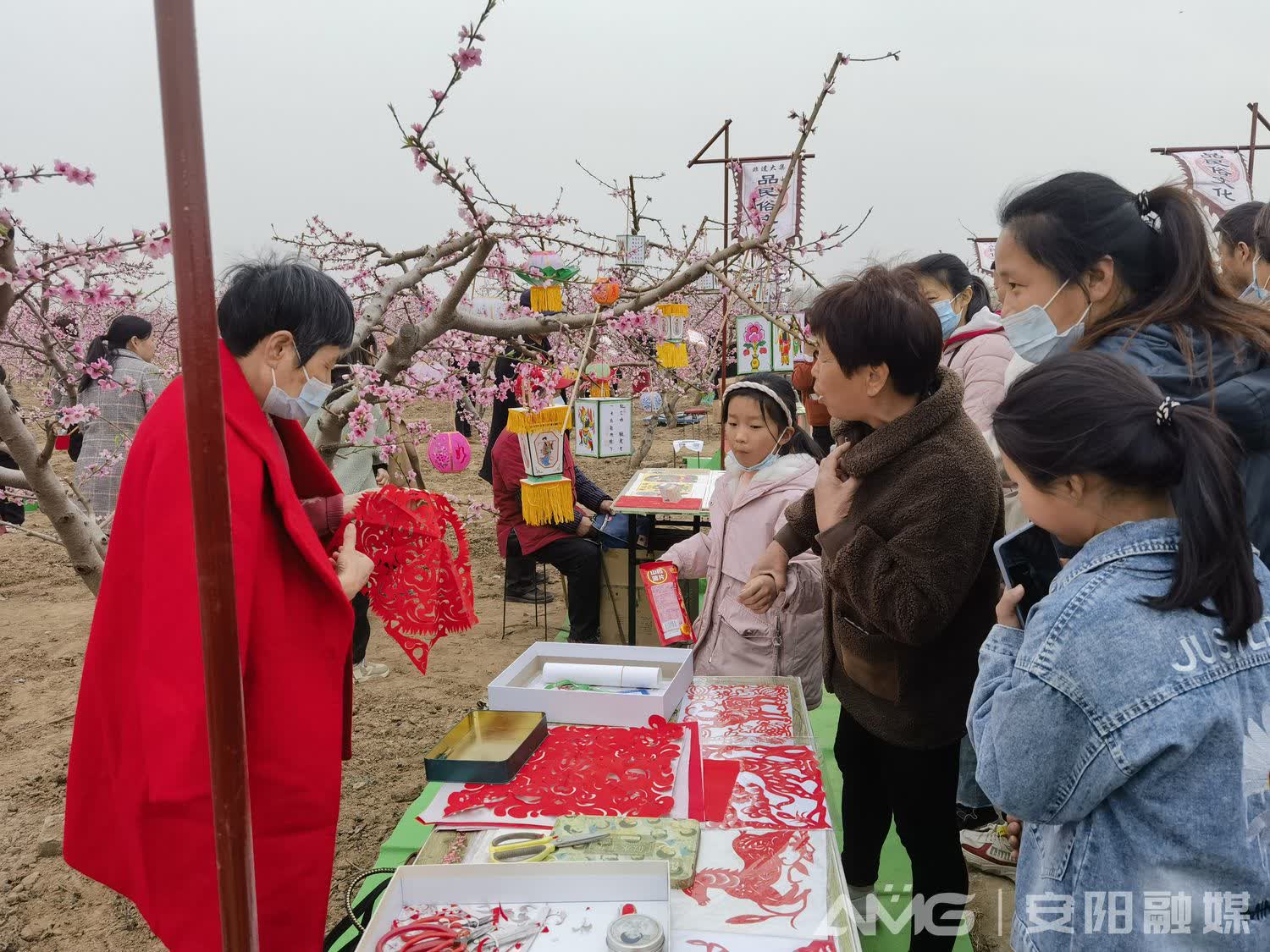 银河娱乐在线登录官网-桃花灼灼 · 醉美豆公丨走进安阳内黄豆公桃花节(图6)