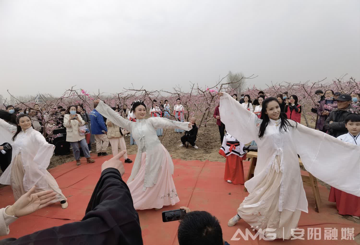 银河娱乐在线登录官网-桃花灼灼 · 醉美豆公丨走进安阳内黄豆公桃花节(图9)